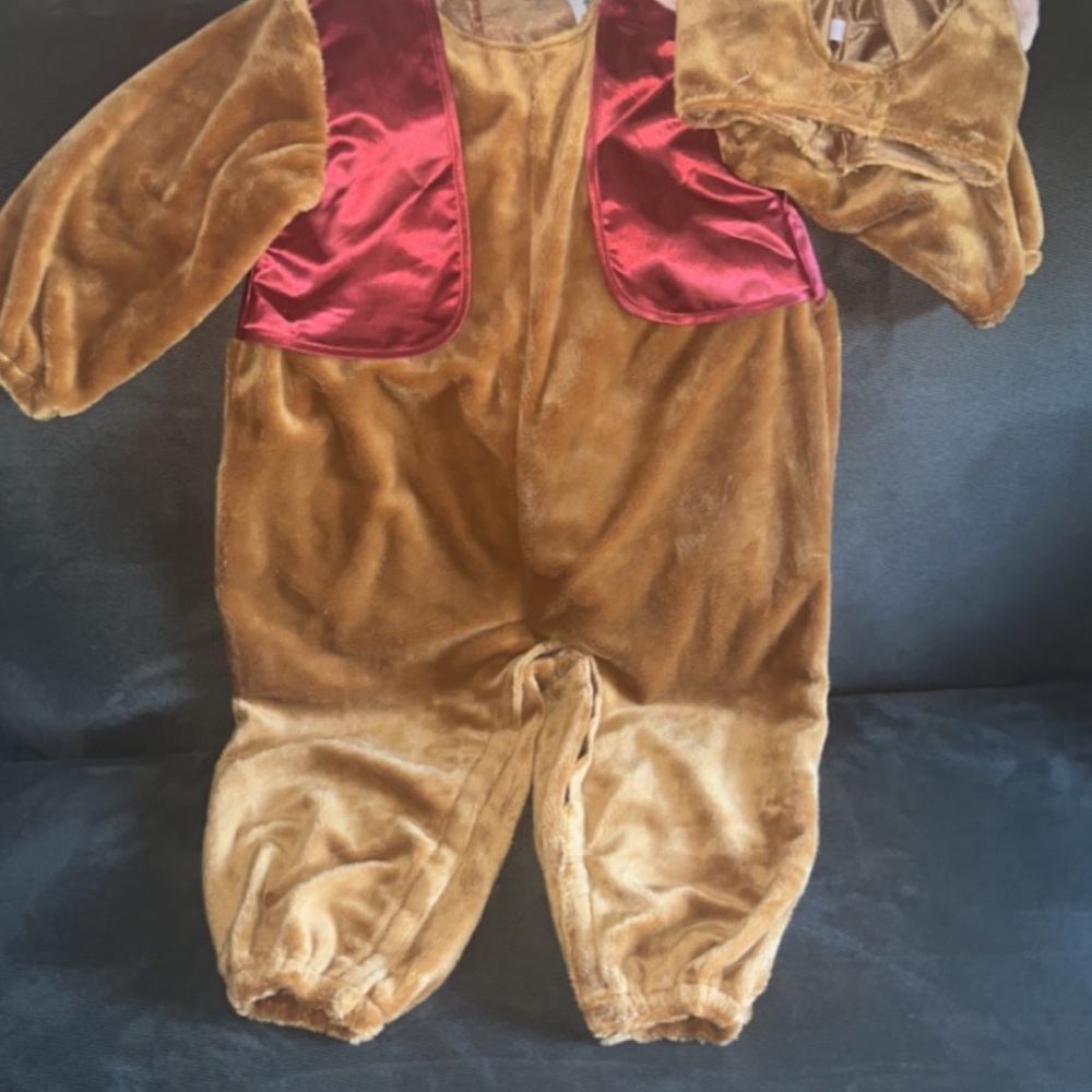 Abu Disney costume